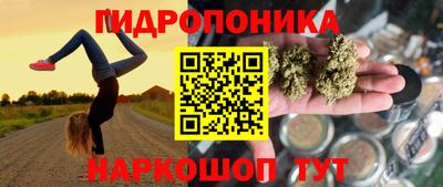 тгк Новодвинск