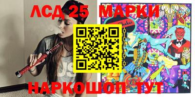 тгк Новодвинск