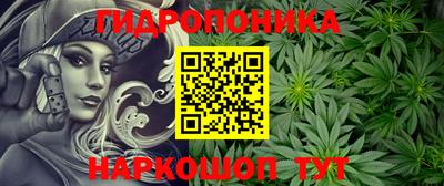 Альфа ПВП Новозыбков