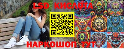 тгк Новодвинск