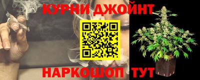 тгк Новодвинск