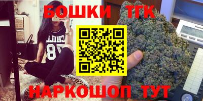 тгк Новодвинск
