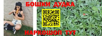 тгк Новодвинск