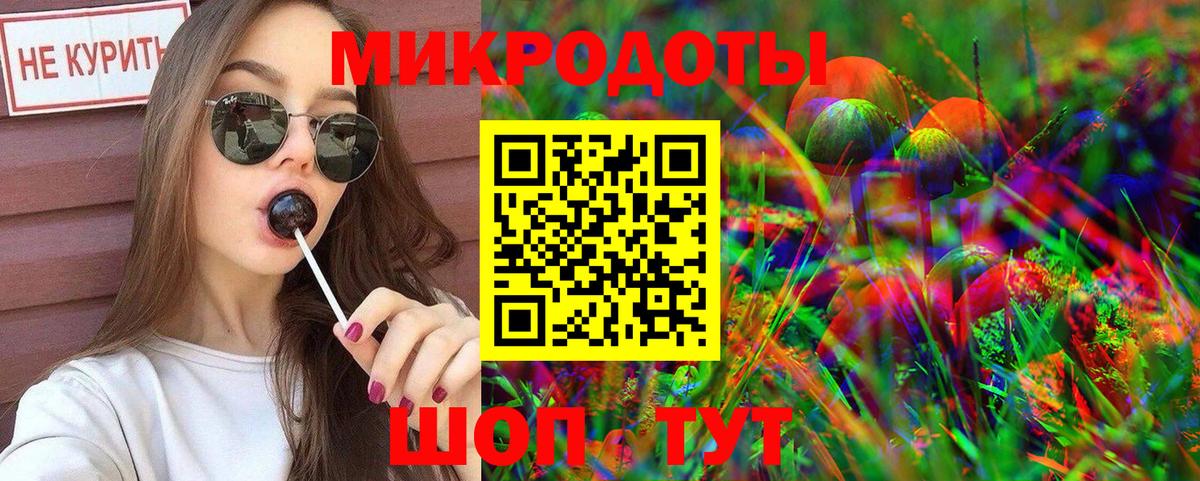 Галлюциногенные грибы Psilocybe Тайшет