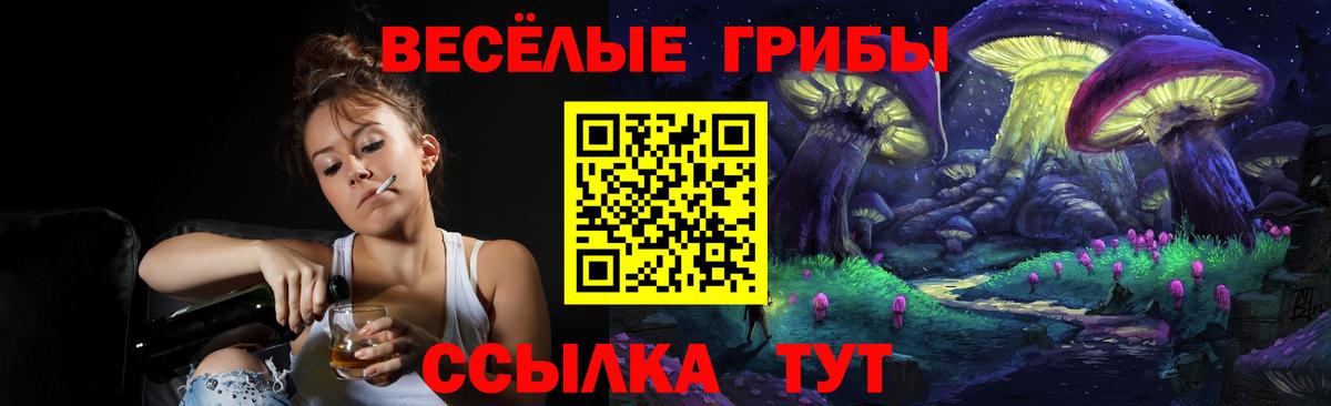 Псилоцибиновые грибы Magic Shrooms  где можно купить   Тайшет  Вход с VPN  Галлюциногенные грибы мицелий 